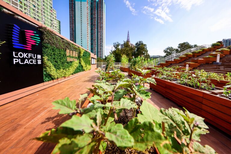 樂富廣場的 3,000 呎戶外都市農莊，打造有機綠色空間！